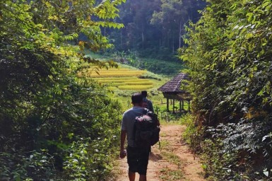 3-Day Chiang Mai Jungle Trek: Lahu & Shan Villages, Elephants and Mae Tang Rafting